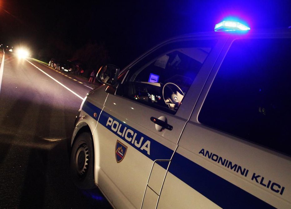 Fotografija: Policija je imela kar veliko dela na območju Ljubljane. FOTO: