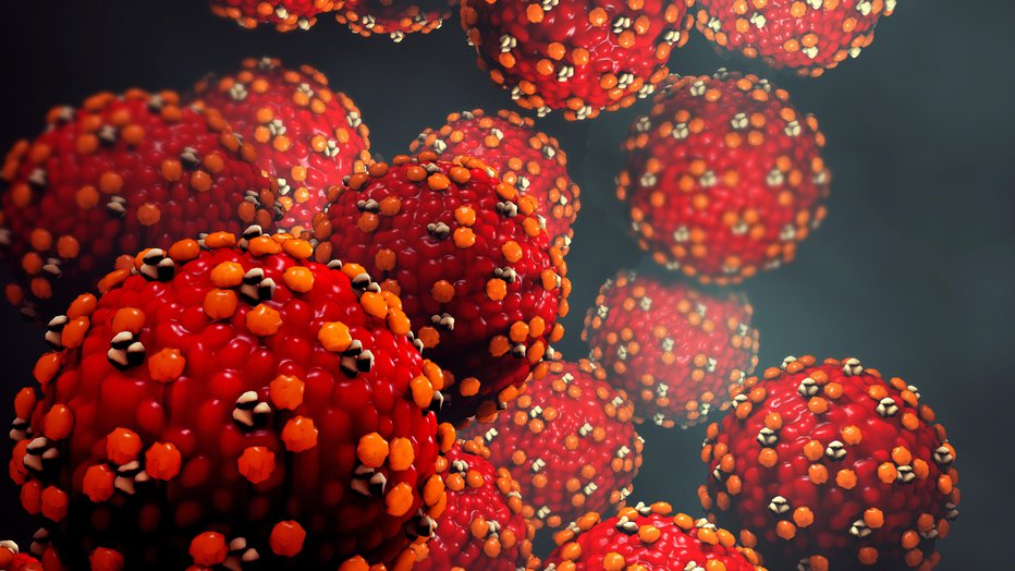 Fotografija: Znanstveniki napovedujejo hitro širjenje virusa. FOTO: Getty Images, Istockphoto
