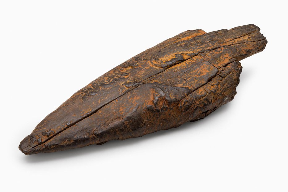 Fotografija: Najstarejši predmet z Ljubljanskega barja je konica iz lesa tise, stara približno 40.000 let. Foto: Andrej Peunik