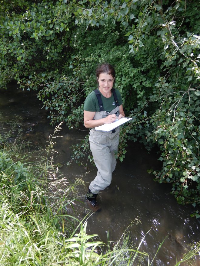 Dr. Kaja Pliberšek, vodja projekta Life for Lasca, med popisovanjem rib v potoku Joušček