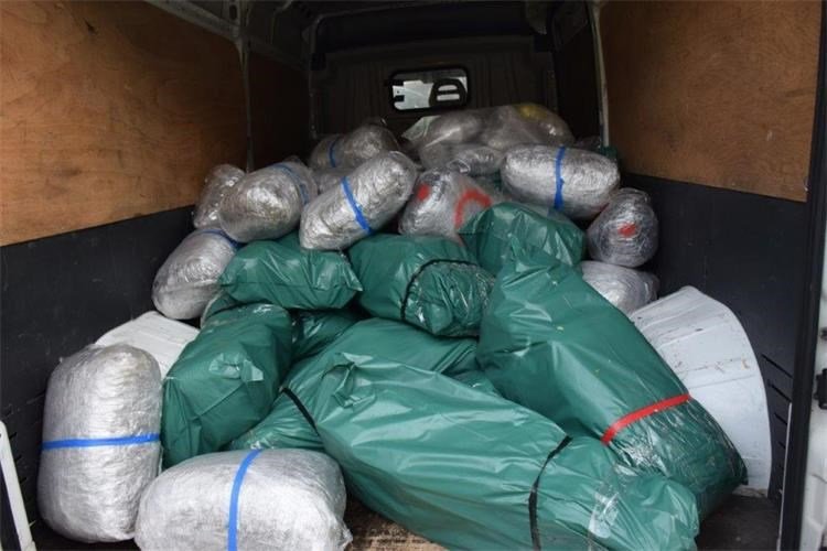 Fotografija: Zasegli so 481 kilogramov prepovedane konoplje. FOTO: Mup Rh
