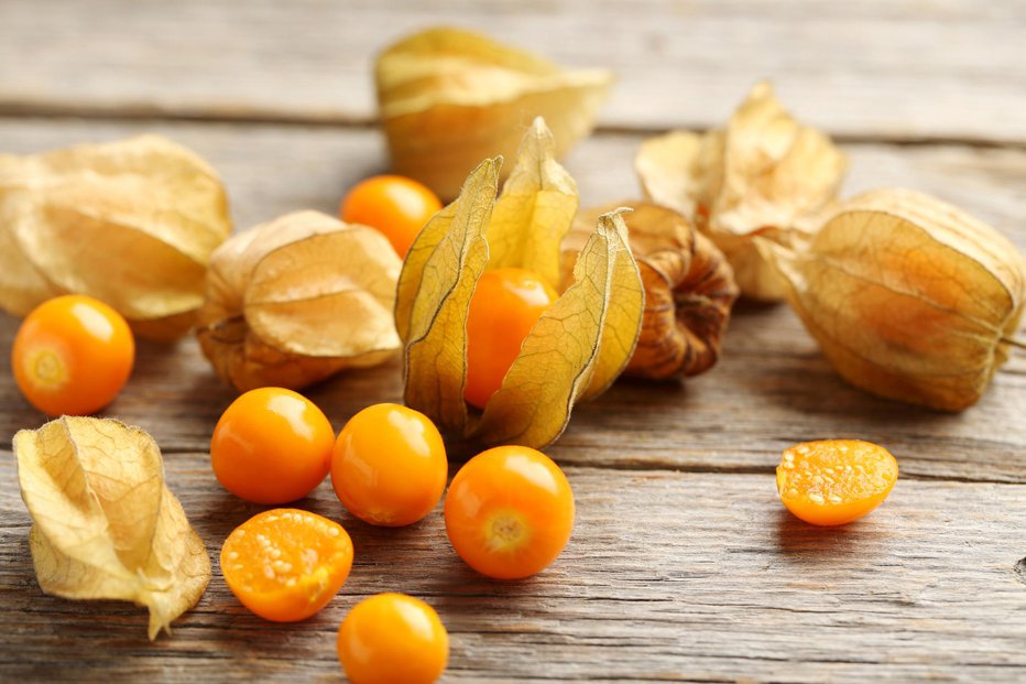 Fotografija: Oranžni plodovi se skrivajo v ovoju, ki spominja na lampijončke. FOTO: Guliver/Getty Images