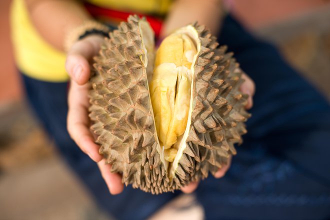 Durian velja za najbolj smrdljiv sadež na svetu. FOTO: Guliver/getty Images