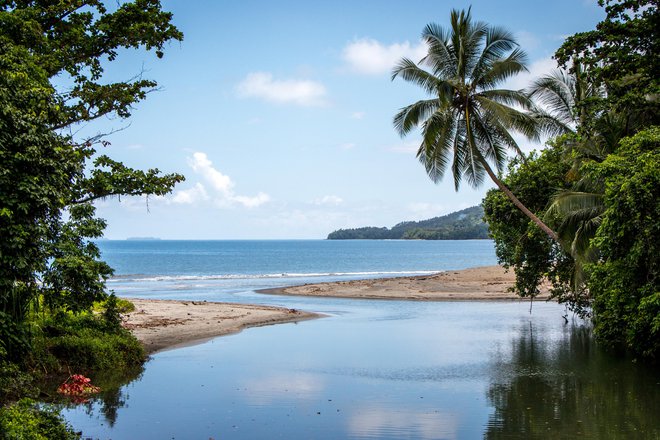 Papuo Novo Gvinejo so zapustili že konec decembra. FOTO: Guliver/Getty Images