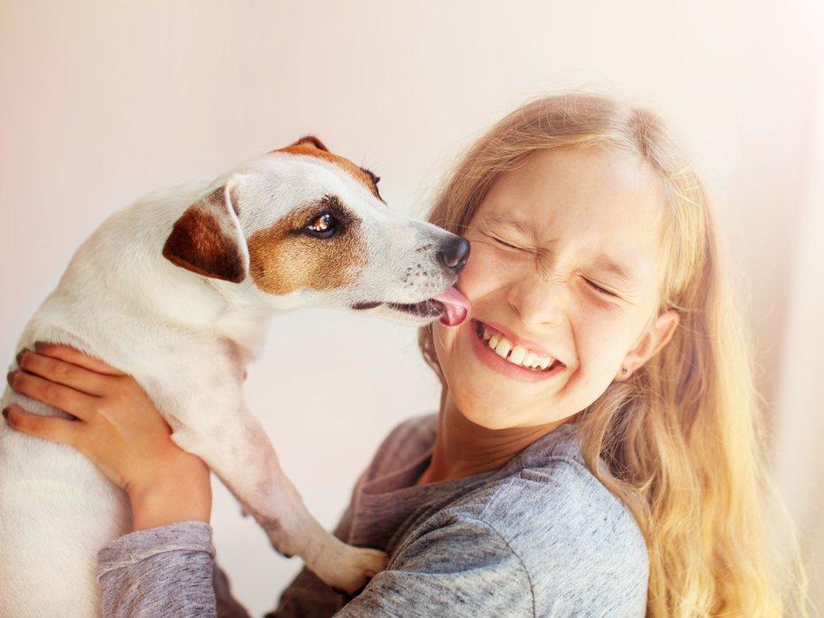Fotografija: Nedavna raziskava, objavljena v PubMed, je pokazala, da že kratka interakcija s psi ali z mački poveča odpornost. FOTO: Shutterstock