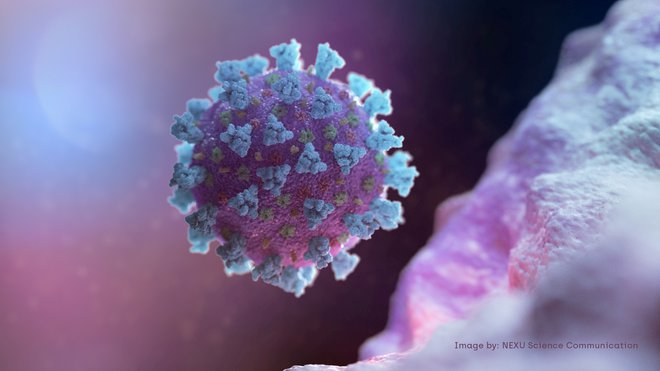 Novi koronavirus bo po predvidevanjih dosegel tudi Slovenijo. FOTO: Reuters