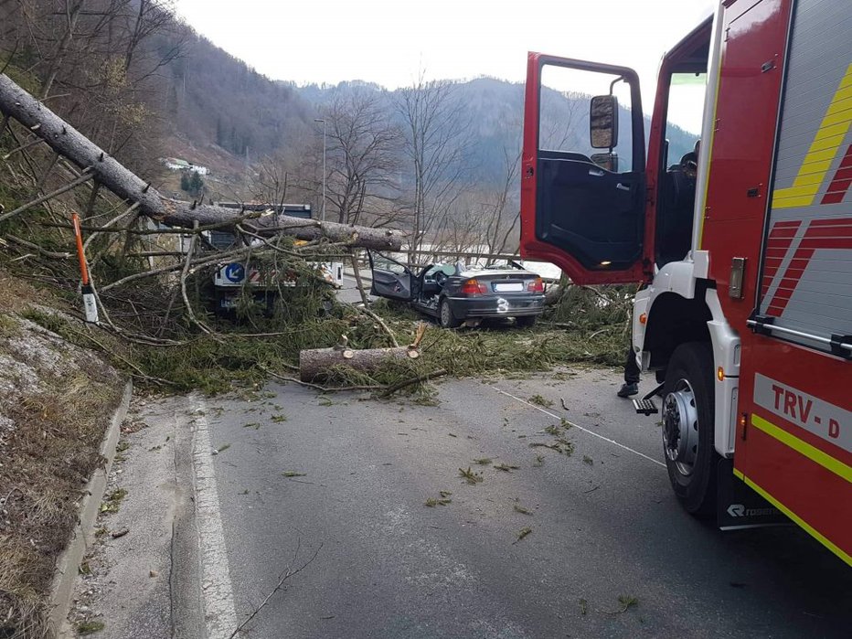 Fotografija: Voznik beemveja padca drevesa na avto ni preživel. FOTO: PGD Radlje