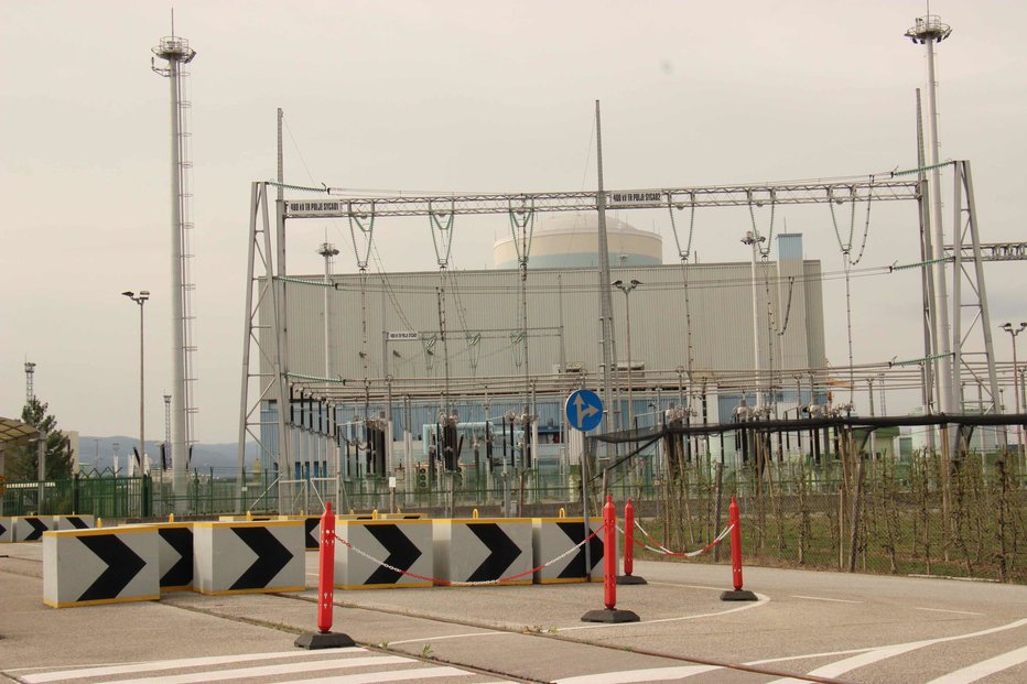 Fotografija: Dogodek delovanja Jedrske elektrarne Krško ni zmotil. FOTO: Tanja Jakše Gazvoda