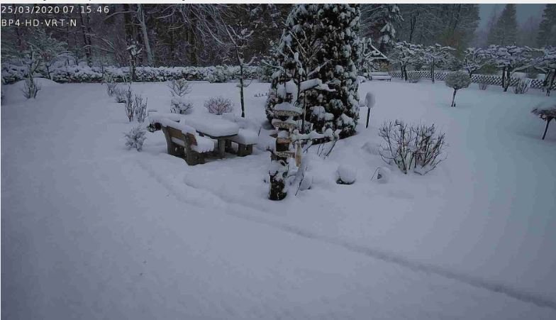 Fotografija: Kočevje je dobilo obilno pošiljko snega. FOTO: spletna kamera