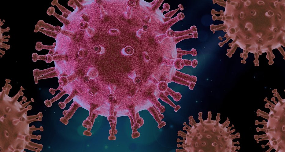 Fotografija: Države si prizadevajo ustaviti širjenje koronavirusa, a to menda ne bo dovolj. FOTO: Pixabay