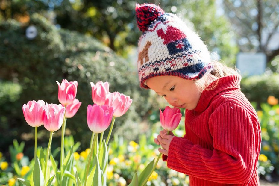 Fotografija: V nadaljevanju povzemamo najpomembnejša vrtna opravila za april. FOTO: Shutterstock