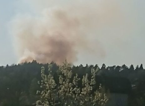 Fotografija: Požar na Šentviškem hribu. FOTO: Eva, bralka poročevalka