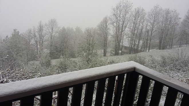 Sneg v Semiču. FOTO: Bralec Jože