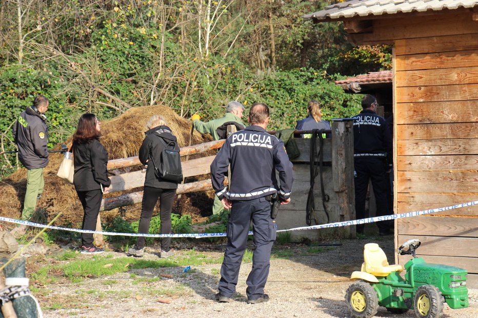 Fotografija: Policisti so naslednje jutro iskali morilski nož. FOTO: Tanja Jakše Gazvoda