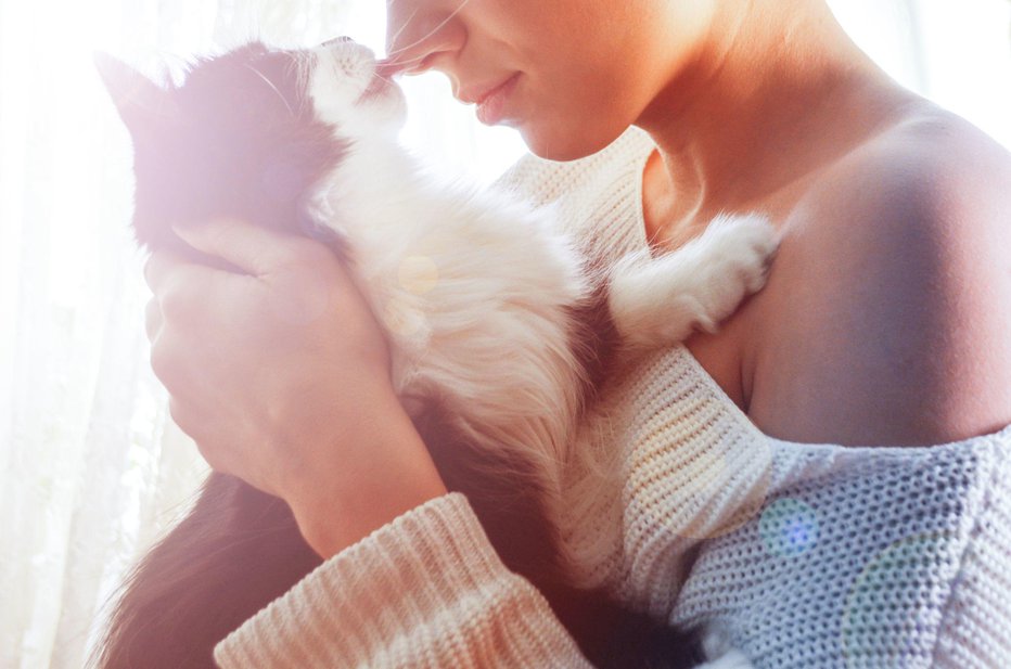 Fotografija: Če mislite, da vam vaša mačka z lizanjem sporoča, da vas ima rada, potem se ne motite. FOTO: Shutterstock
