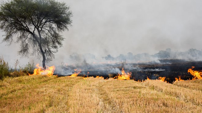 Na Primorskem je še vedno velika požarna ogroženost naravnega okolja. FOTO: Guliver/Getty Images