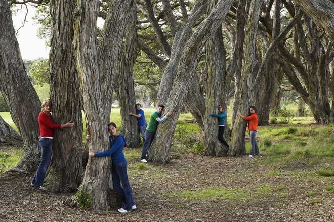 Tudi pri objemanju dreves ohranite socialno distanco! FOTO: guliver/getty images