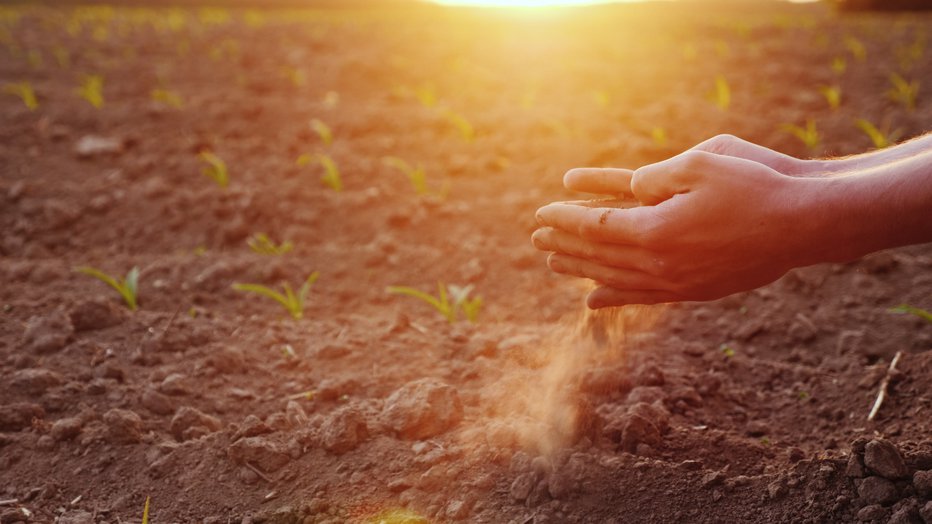 Fotografija: Zaradi suhih tal bo motena setev koruze in setev na splošno. FOTO: Guliver/Getty Images