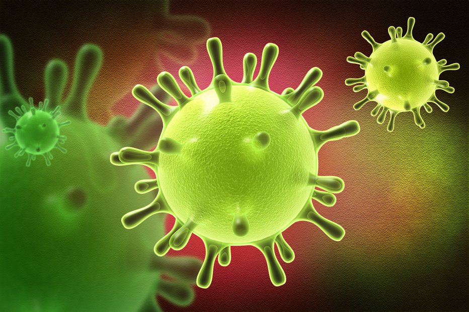 Fotografija: Novi morilski virus je iz iste družine kot prehlad in sars. Foto: Shutterstock FOTO: Shutterstock Photo