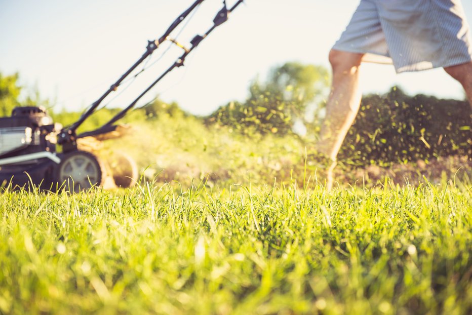 Fotografija: Čas je za košnjo trave na domačem vrtu. FOTO: Shutterstock