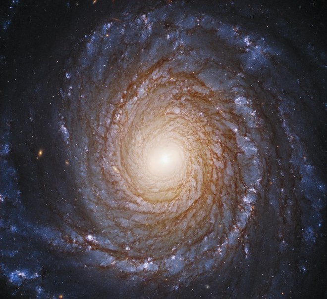 Spiralna galaksija NGC 1347 je od nas oddaljena 81 milijonov svetlobnih let. FOTO: Hubblesite.org