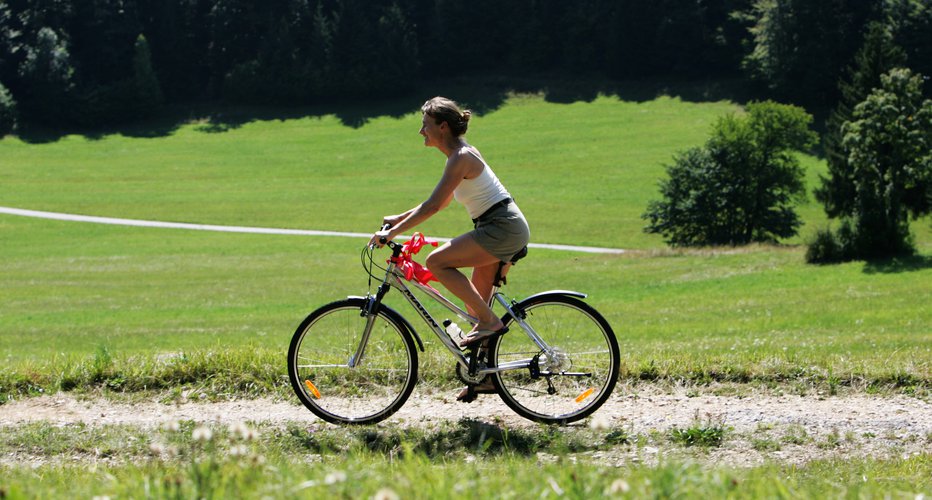 Fotografija: Rekreativno in športno kolesarjenje sta do preklica prepovedana, opozarja Kolesarska zveza Slovenije. FOTO: Igor Modic