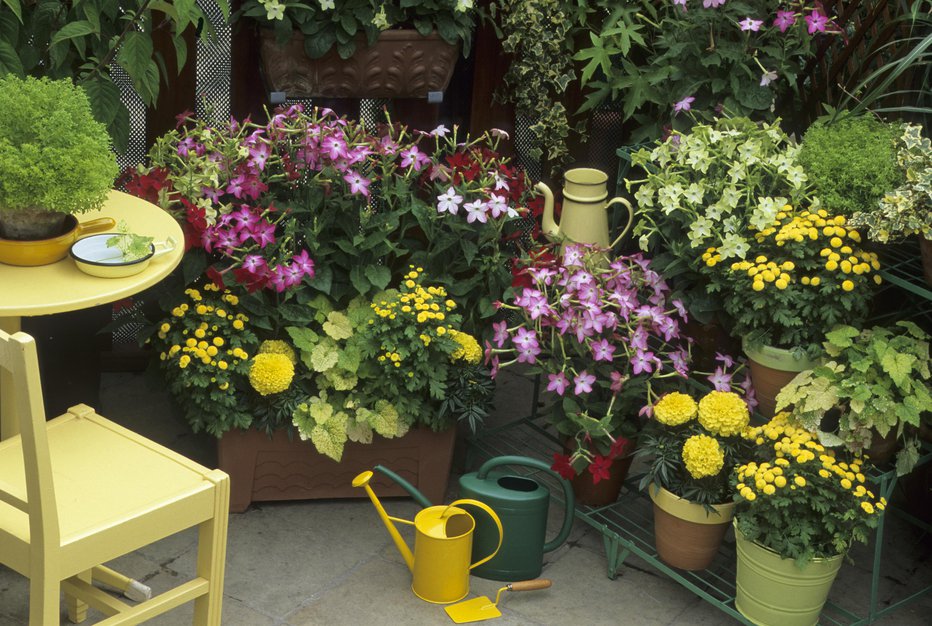 Fotografija: Pri izboru rastlin je pomembna lega balkona oziroma terase. FOTOGRAFIJE: Guliver/GETTY IMAGES