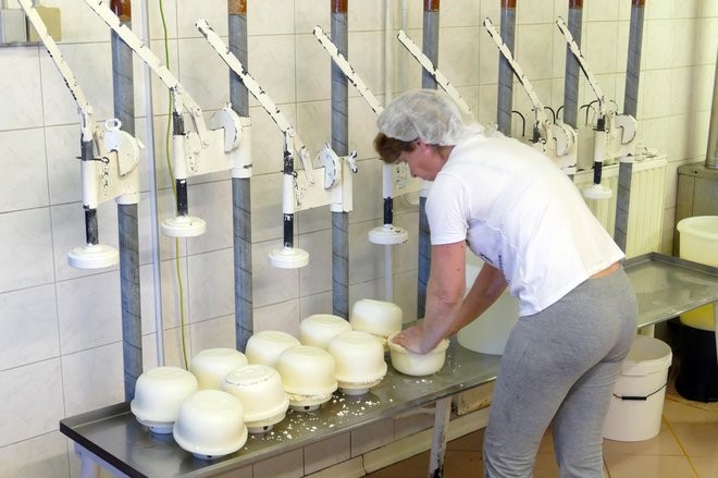 V letu 2018 je prebivalec Slovenije porabil devet kg sira in skute.