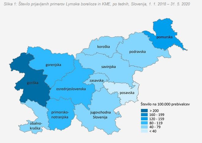 Prijavljeni primerov borelioze po statističnih regijah, Slovenija, 1. 1.– 31. 5. 2020. FOTO: Zaslonski posnetek, NIJZ