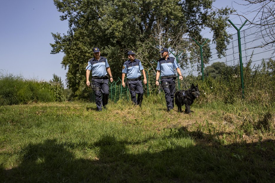 Fotografija: Patrulje slovenskih policistov v teh dneh ujamejo več nezakonitih prebežnikov. FOTO: Voranc Vogel