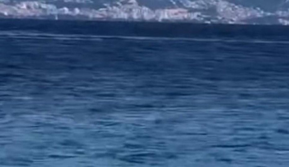 Fotografija: Morski pes se le redkokdaj približa obali. FOTO: Zaslonski posnetek, Youtube