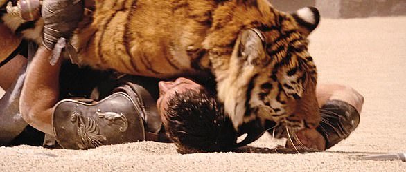 Avstralskega zvezdnika bi med snemanjem skoraj izmaličil tiger. FOTO: Universal Pictures