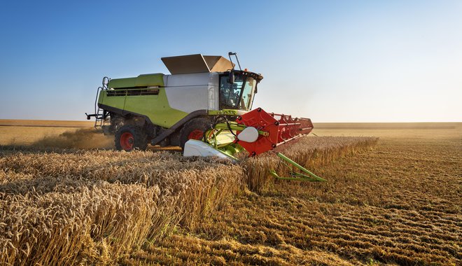 Slovenski kmetje bodo letos poželi manj pšenice, ki bo po kakovosti slabša od lanske. FOTO: Getty Images