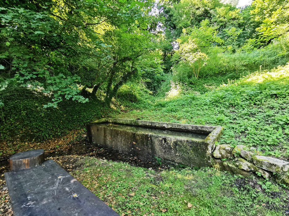 Fotografija: Obzidan izvir Goriškega potoka, nekdaj glavni vir pitne vode, betonsko korito, ob njem pa perišče in napajališče za živino. Foto: Cveta Potočnik