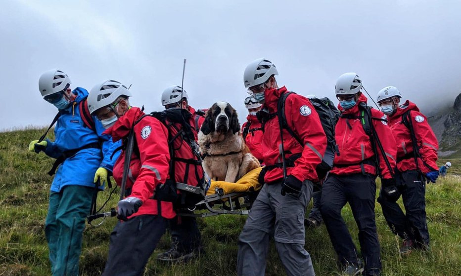 Fotografija: Reševalci so v dolino prenesli 55-kilogramskega psa. FOTOGRAFIJI: Gorska Reševalna Služba Wasdale