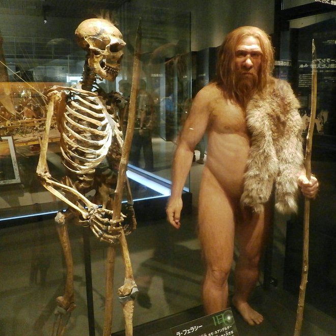 Neandertalci so izumrli pred približno 40.000 leti. FOTO: Wikipedia