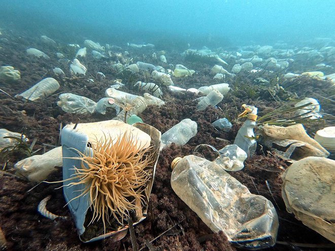 Polja odpadne plastike v hrvaškem podmorju FOTO: KLARA LJUBENKO