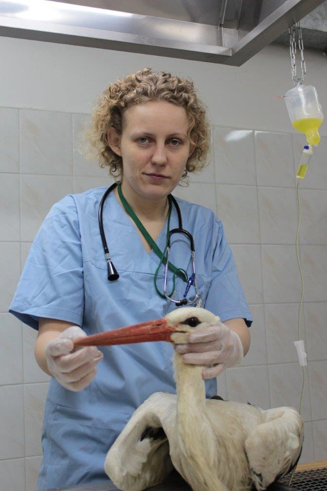 Varšavska veterinarka Agnieszka Czujkowska bo slone zdravila z marihuano.