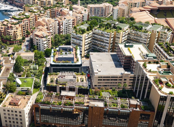 V urbanih okoljih se odlično obnesejo zelene strehe. FOTO: Finebokeh/getty Images