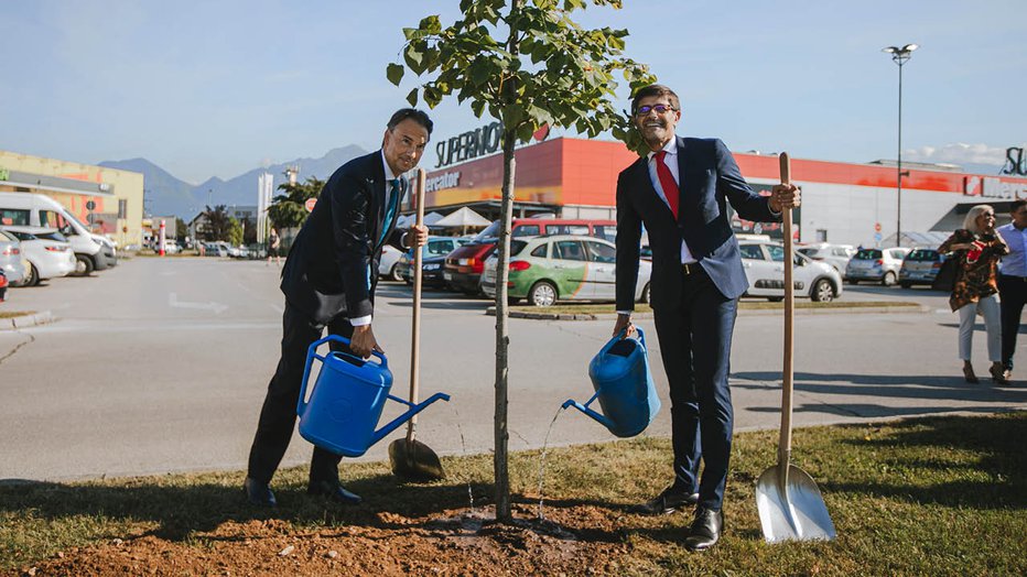 Fotografija: Kranjski župan Matjaž Rakovec je navdušen nad gesto direktorja Mercatorja Tomislava Čizmića, ki se je odločil za donacijo dreves.