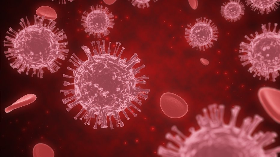 Fotografija: Virus sars-cov-2 najprej napade pljuča, a tudi drugi organiniso varni pred njim. FOTO: Shutterstock