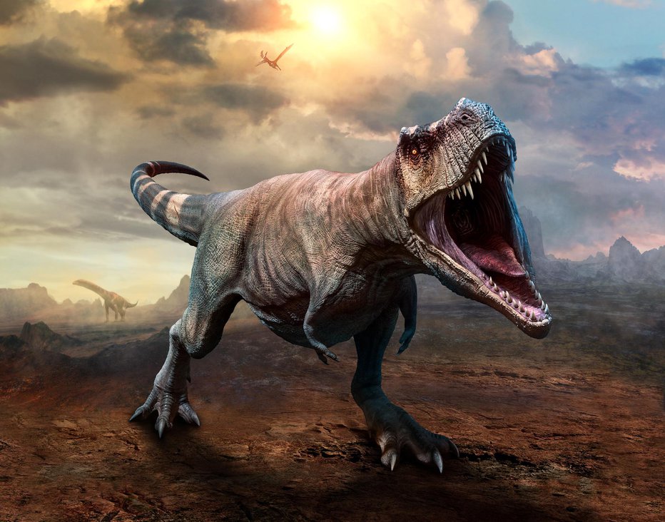 Fotografija: Po svetu je korakal pred 67 milijoni let. FOTO: Warpaintcobra/Getty Images