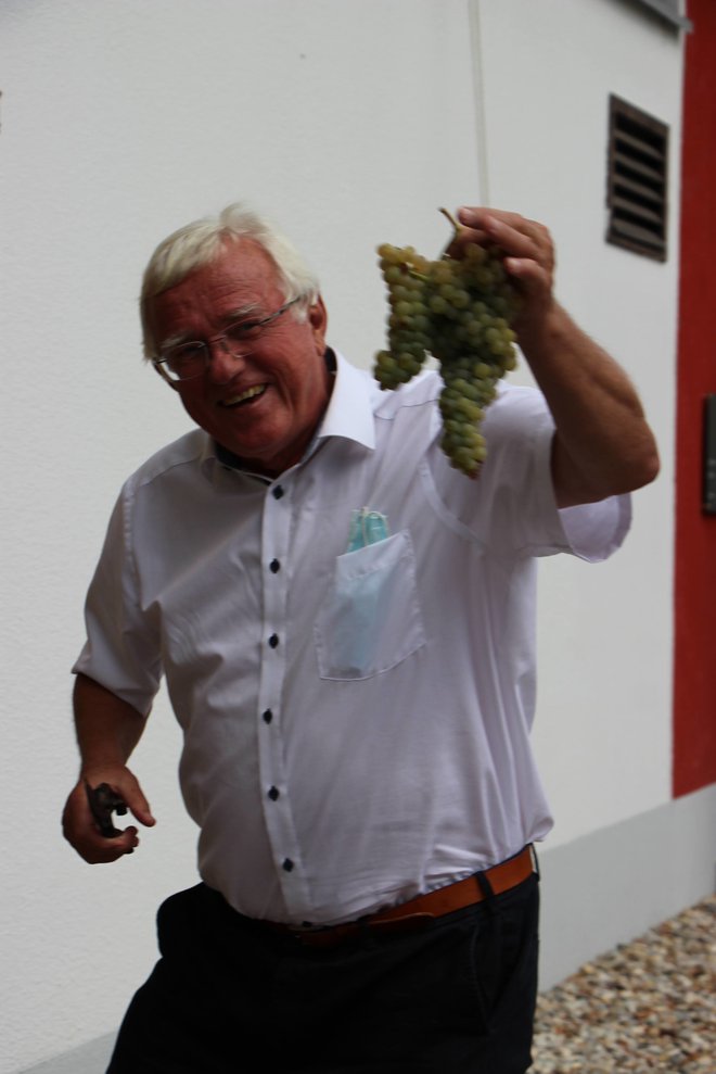 Drago Bulc je potrgal grozdje na trti, ki jo je zasadil pred dobrima dvema letoma. Foto: Tanja Jakše Gazvoda