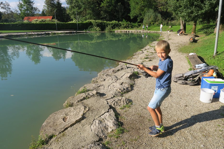 Fotografija: Ribič Lovro med lovom postrvi na ribniku Žeje FOTO: JANEZ PETKOVŠEK
