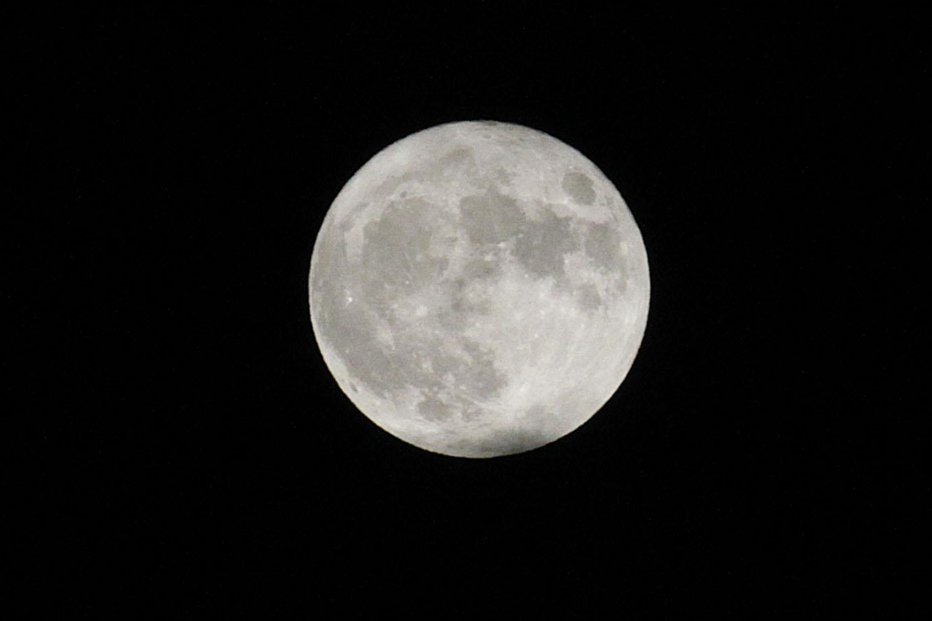 Fotografija: Polna luna. FOTO: Leon Vidic/Delo