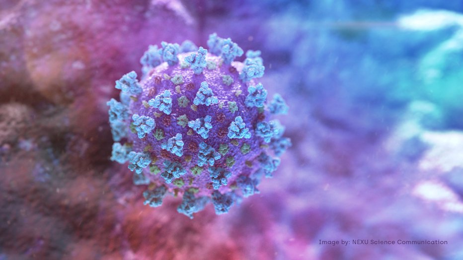 Fotografija: Virus se hitro širi. FOTO: Nexu Science Communication Via Reuters