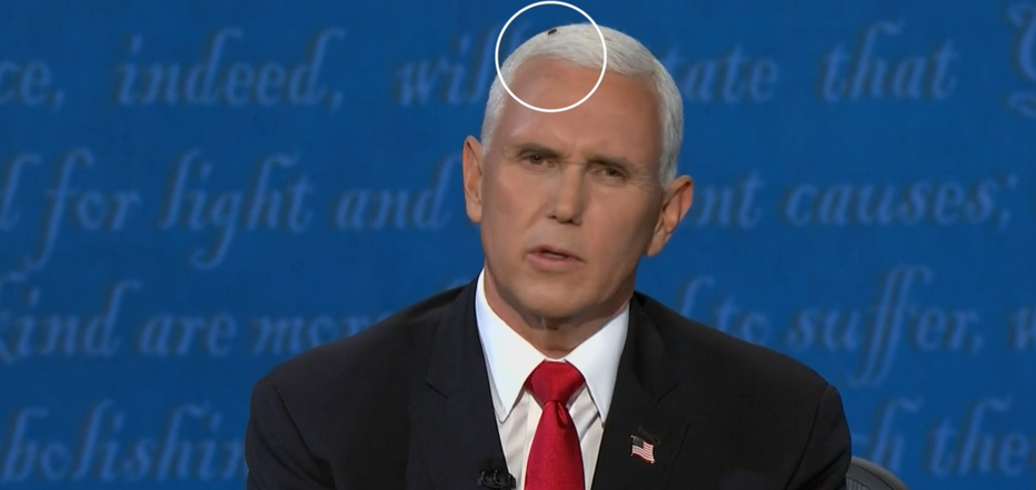Fotografija: Mike Pence z muho na glavi. FOTO: Zaslonski posnetek
