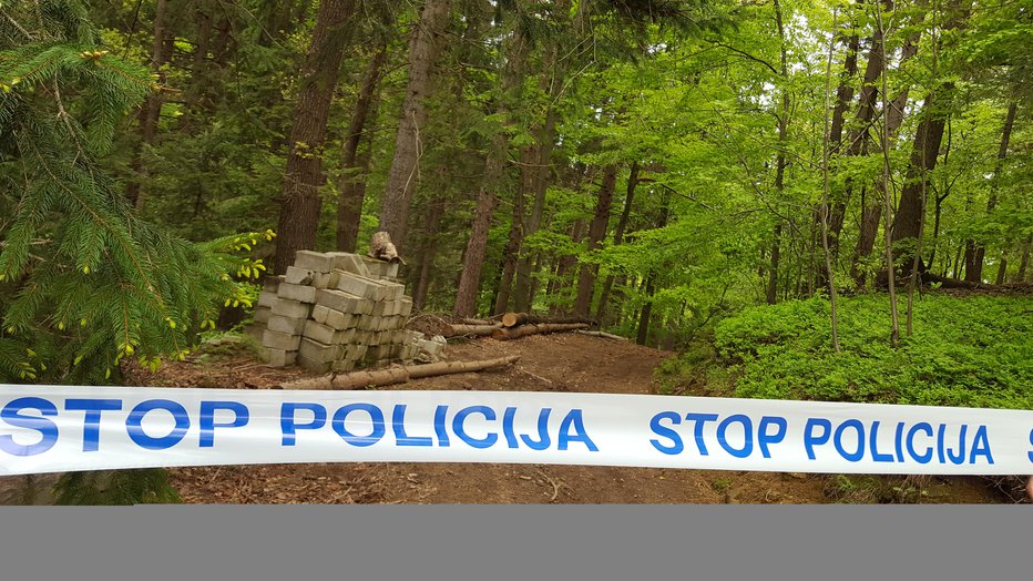 Fotografija: Policija bo s pisnim poročilom seznanila tožilstvo. FOTO: Aleš Andlovič