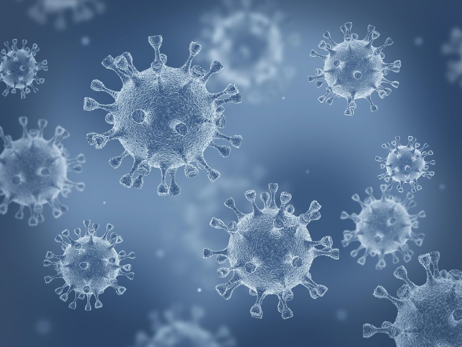 Fotografija: Kako obstojen je koronavirus? FOTO: Altoclassic, Getty Images, Istockphoto