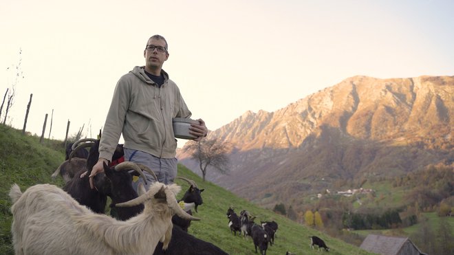 Posoški kozjerejec Jernej Bric redi avtohtono pasmo drežniških koz. FOTO: Neja Kalan